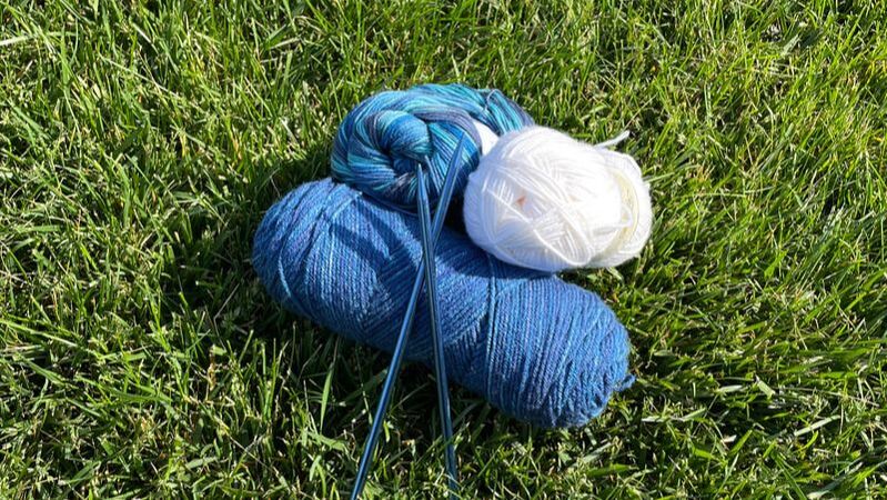 Knitting Needles and Yarn in Grass